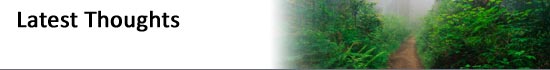 Services We Provide, Institutional Partner