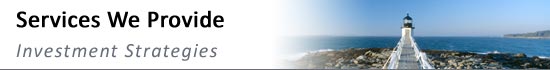 Services We Provide, Investment Strategies